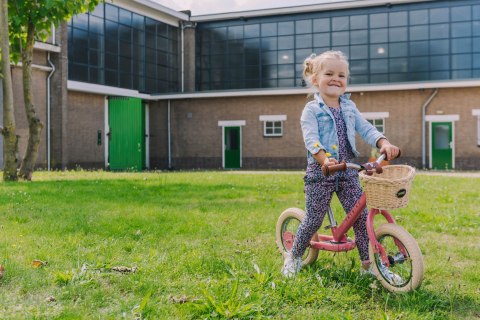 Pierwszy rowerek trójkołowy dziecięcy biegowy 2w1 różowy matowy Trybike CoandCo