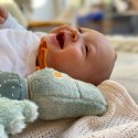 Przytulanka Smok na rzepy 45cm wielofunkcyjna zabawka rozwojowa sigikid Sigikid