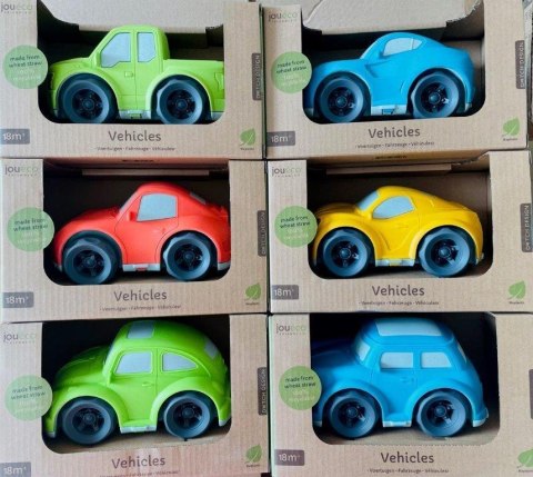 BIO Auto Joueco