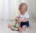 Karuzela z króliczkami TOLO Bio 6m+