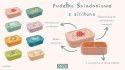 Lunchbox pojemnik silikonowy Słonik SASSI